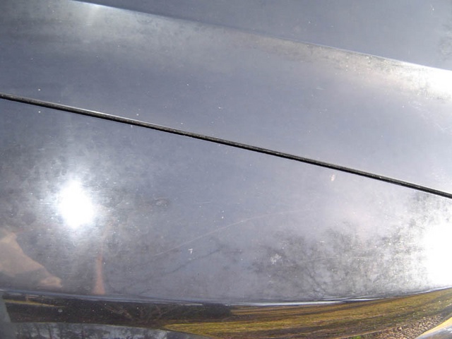 DSC01168.sized.jpg