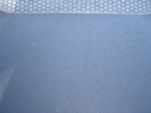DSC01169.sized.jpg