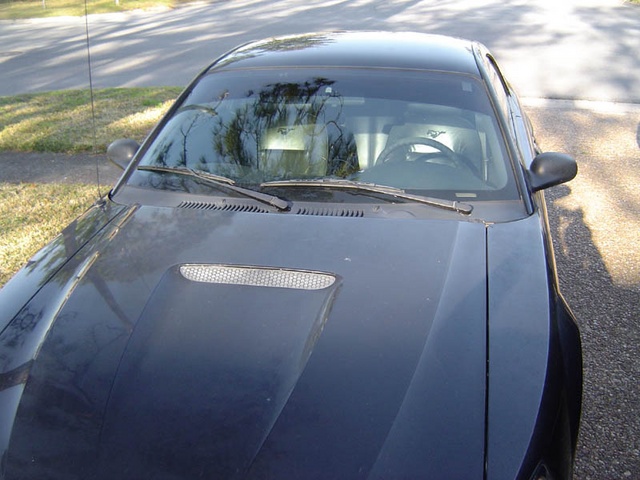 DSC01171.sized.jpg
