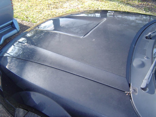 DSC01172.sized.jpg